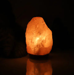 Creative Crystal Salt Lamp Night Light for Bedside